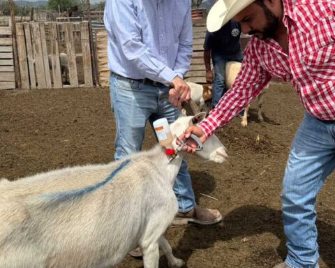 Ganaderos en Coahuila.