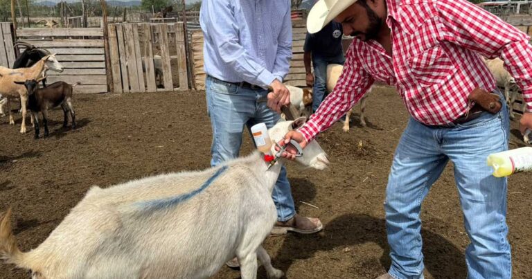 Ganaderos en Coahuila.