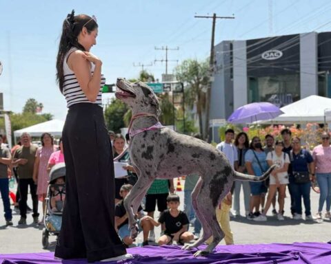 Una mujer y un perro en el Paseo de las Emprendedoras en Torreón.