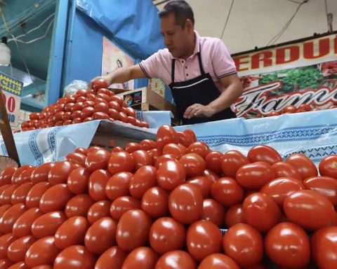 Comerciante vendiendo jitomate en un mercado.