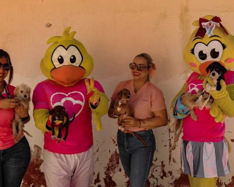 Mascotas de los Algodoneros.