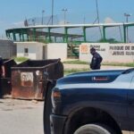 Castaños bebé abandonado