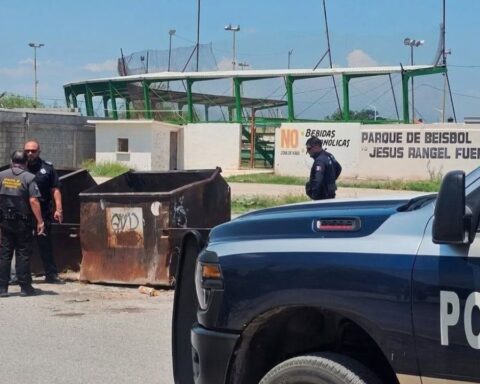 Castaños bebé abandonado