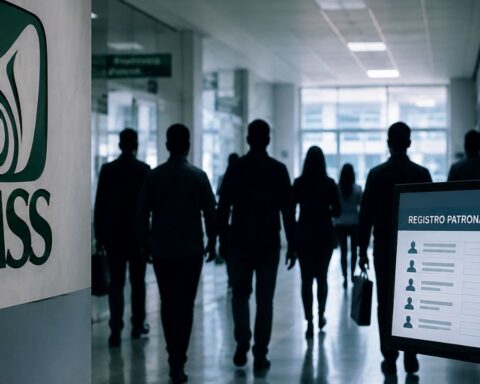 IMSS registro