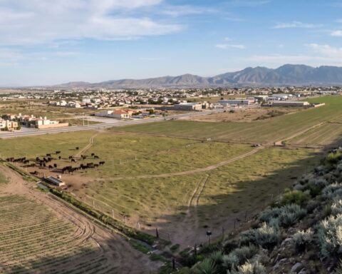 Saltillo territorio